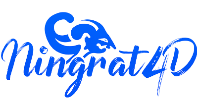 NINGRAT4D LOGO